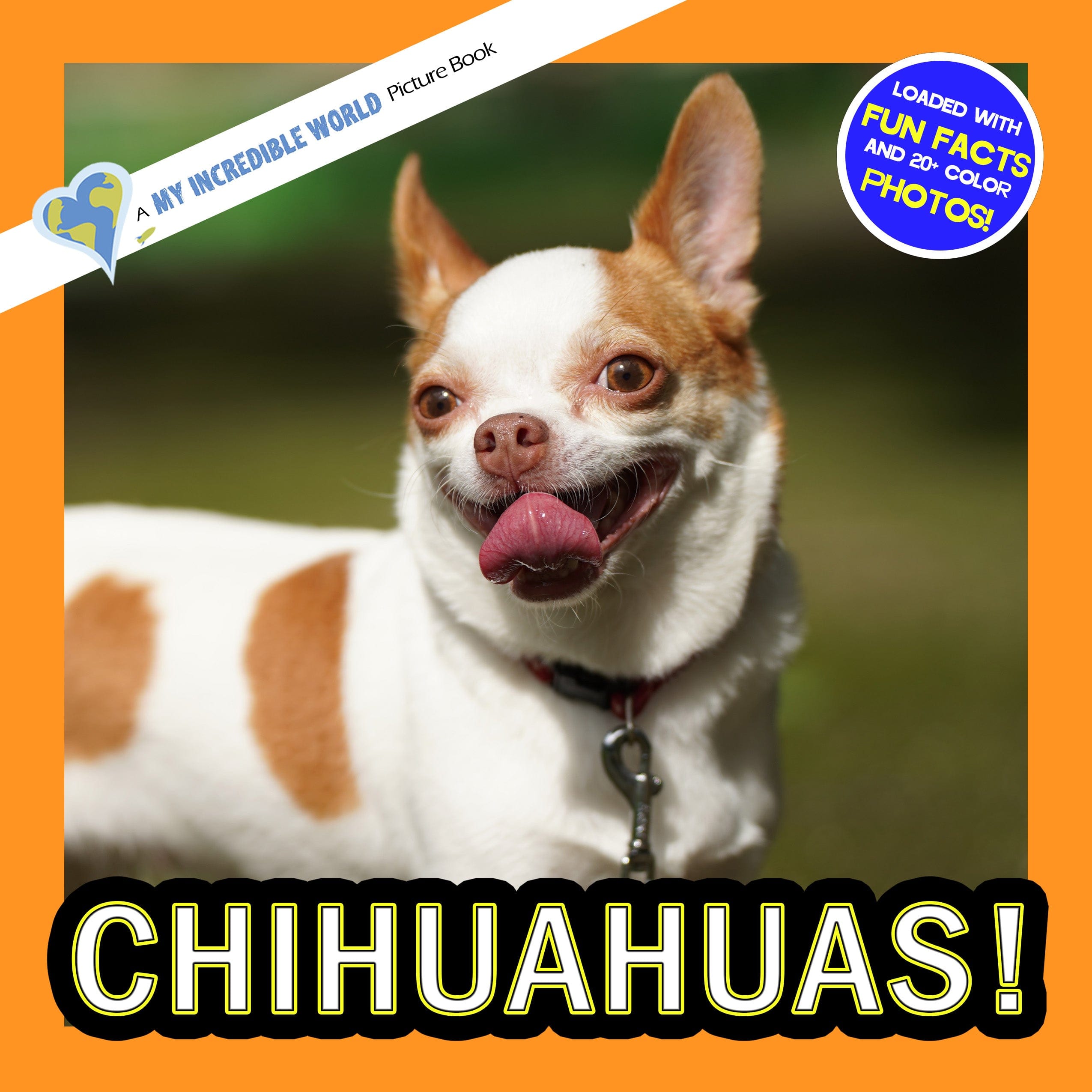 Chihuahuas! A My Incredible World Picture Book For Children